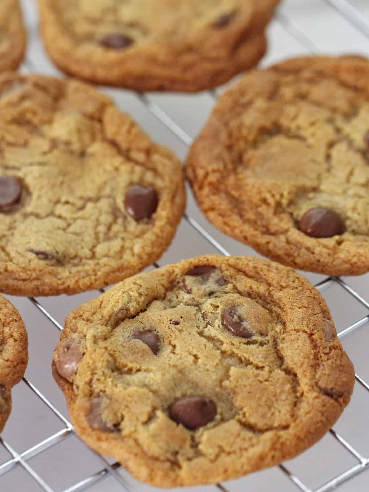 Thermomix Choc Chip Cookies Mama Loves to Cook