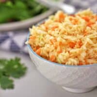 Thermomix Coleslaw.