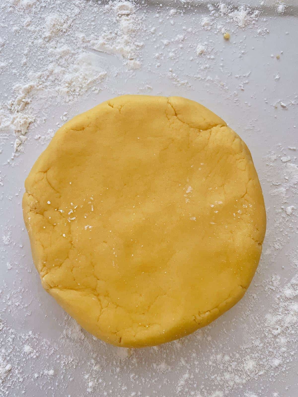 Thermomix pastry circle.
