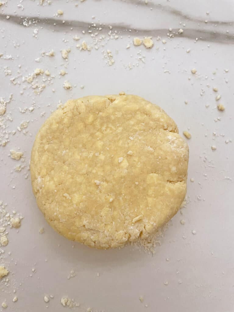 Thermomix pastry disc ready for fridge.