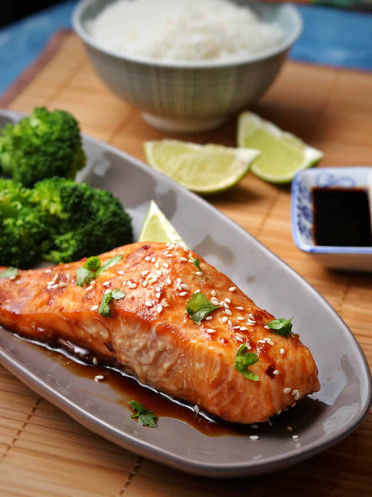 Honey Soy Salmon Mama Loves to Cook