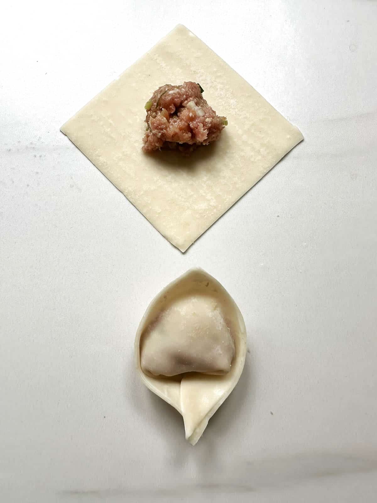 Unfolded and folded wontons side by side. 