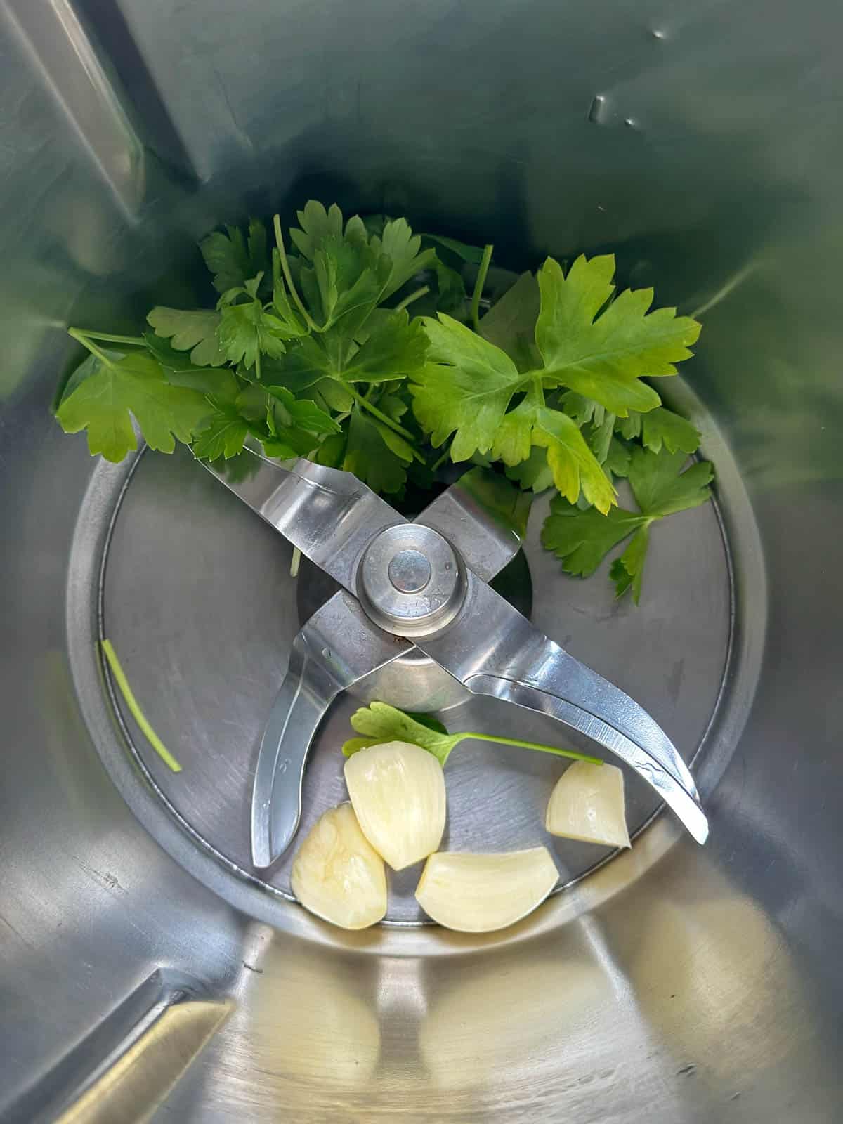 Parsley and garlic cloves in a Thermomix bowl.