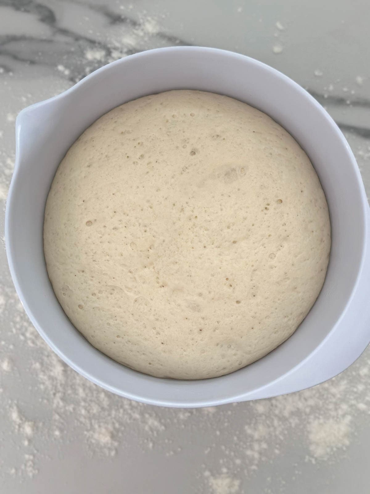 Thermomix dough in a bowl after proofing. 