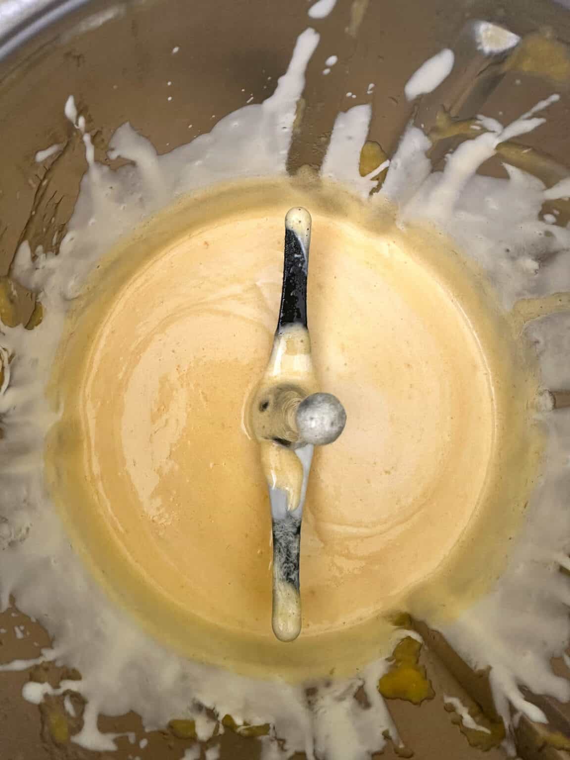 Mango Mixture Thermomix Mango Parfait