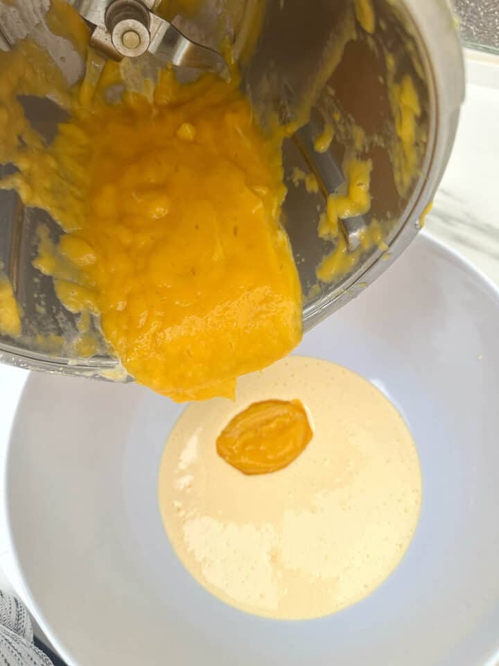 Mango Mixture Thermomix Mango Parfait