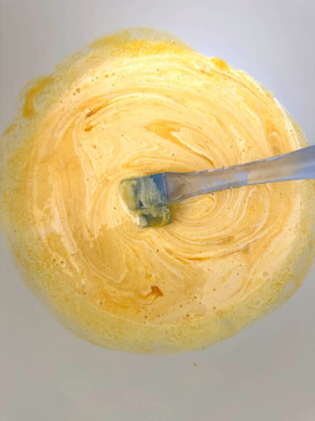 Mango Mixture Thermomix Mango Parfait