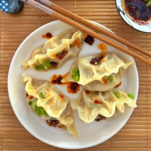 Thermomix Dumplings.