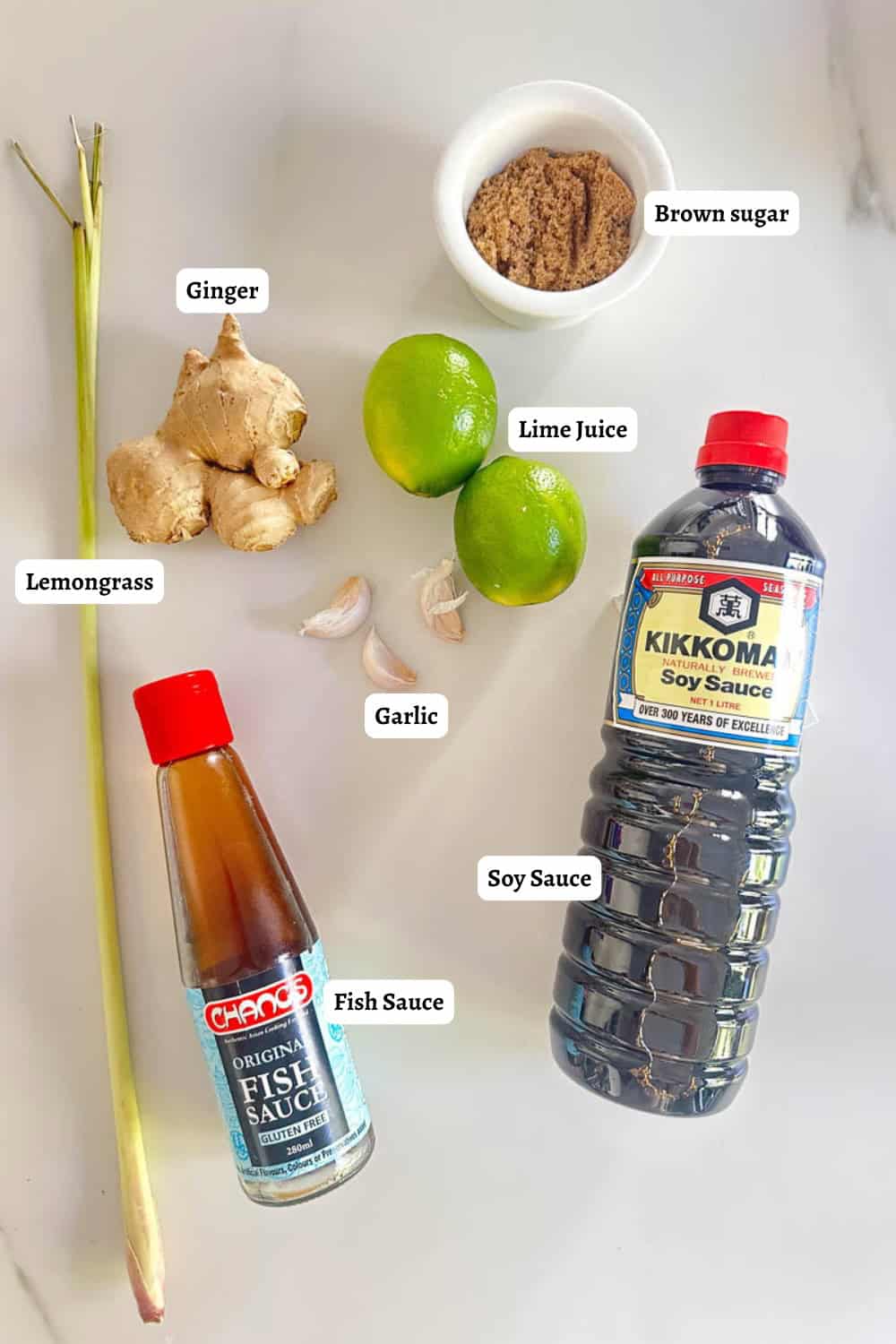 Labelled flat lay of ingredients for Vietnamese Air Fryer Lemongrass Chicken.