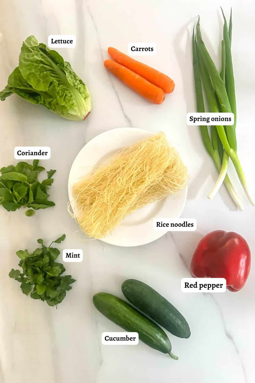 Labelled flat lay of Vietnamese Noodle Salad ingredients.